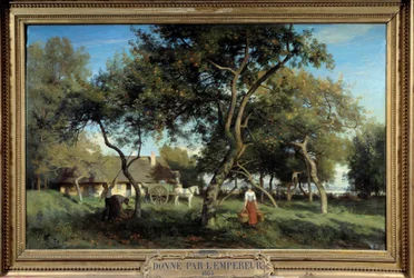 Picking apples in Normandy in 1865