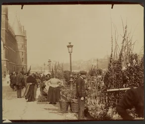 [The Flower Market]