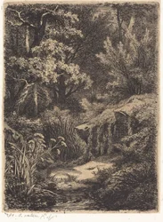 The Little Brook