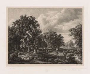 Groups of Various Plants Drawn After Nature: No. 7