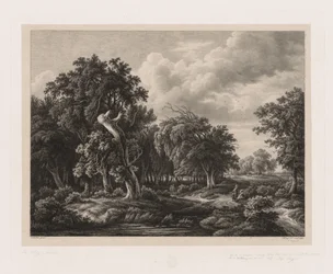 Groups of Various Plants Drawn After Nature: No. 7