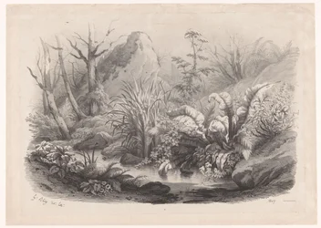 Riverside Plants by a Stream (series title: Various Plants)