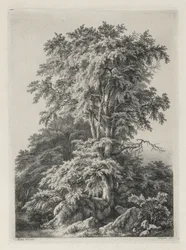 Studies Drawn and Engraved after Nature: The Beach, Fontainbleau