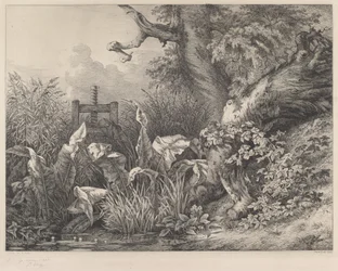 Water Dock and Brambles at a Sluice