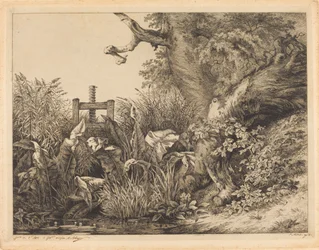 Water Dock and Brambles at a Sluice