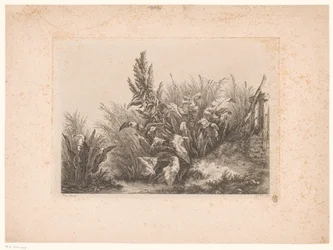 Water Dock and Reeds on the Bank (series title) Drawn and Engraved Studies from Nature