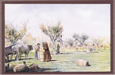 Friar Giles working in the vineyard