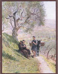 St Francis tames the wild Turtle Doves
