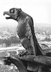 Gargoyle from the balustrade of the Grande Galerie of the west facade, replica of a 12th century original