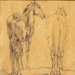 Study of Two Horses