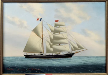 The Brig Violet
