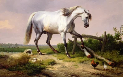 A Grey Stallion with Sheep and Poultry