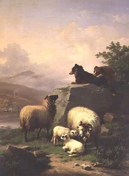 Sheep and lambs with two dogs in a river landscape