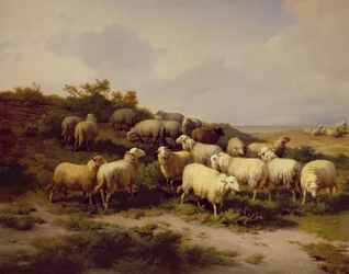 Sheep on the Coast, 1878