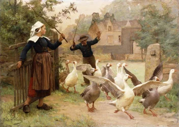 Guiding the Gaggle