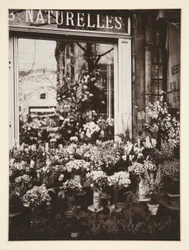 Flower Shop