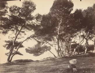 Cannes, Ile Saint Honorat