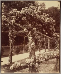 Garden of Bagatelle