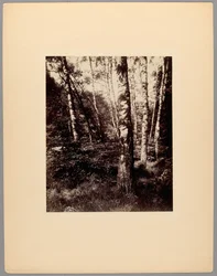 Park of Saint-Cloud