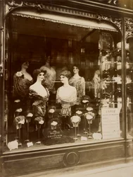Study of Hairdresser