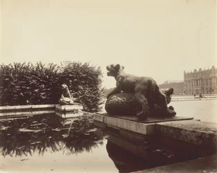 Versailles, Fontaine du Point du Jour, Tiger Subduing a Bear by Houzeau, 1903