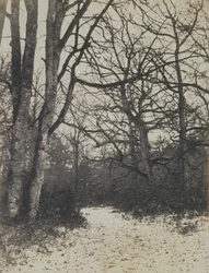 Fontainebleau Forest, ca. 1860