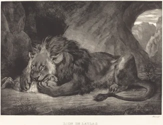 Lion of the Atlas Mountains