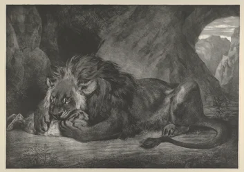 Lion of the Atlas Mountains, 1829-30