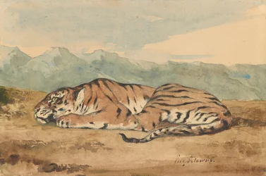 Royal Tiger