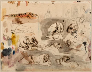 Sketches of Tigers and Men in 16th Century Costume