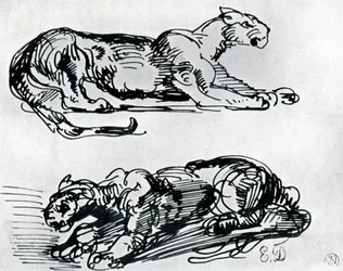 Studies of Panthers, 1913