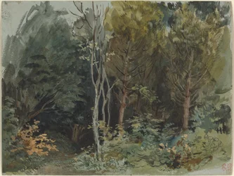 The Edge of a Wood at Nohant