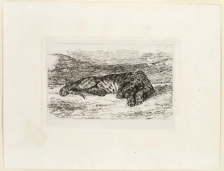 Tiger Resting in the Desert