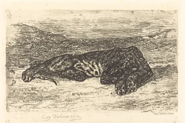 Tiger Sleeping in the Desert, 1846