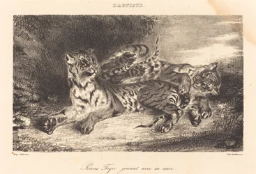 Young Tiger Playing with its Mother, 1831