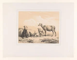 Goat, Sheep, and Two Lambs (Diverse Animals, Études d