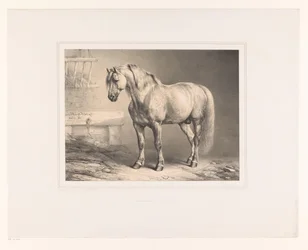 Horse in a Stable