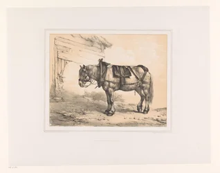 Horse with Saddle and Halter