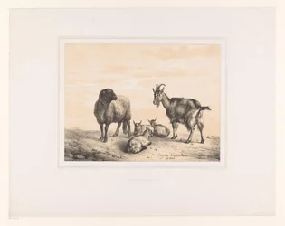 Sheep, Goat, and Three Young Goats