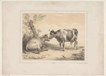 Two Cows (Various Domestic Animals / Thirteen Subjects of Domestic and Indigenous Animals series)