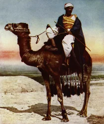 A Bedouin
