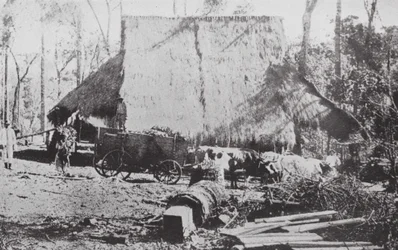 Brazil: A Mate Camp, Paraná