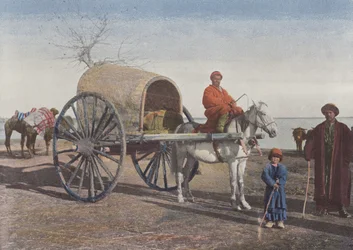 Bukharan Cart on the Move