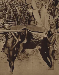 Chief of an African Pygmy Tribe Being Carried on a Litter (b/w photo)