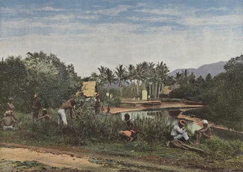 Boat Dock at Canala