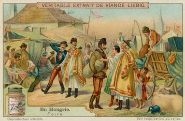 A Hungarian Fair