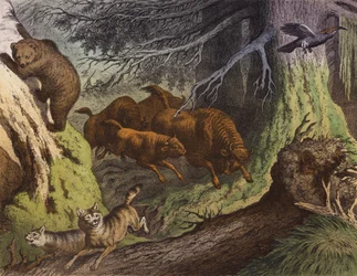 A Russian Forest, Showing the Bear, the Russian Bison and the Wolf