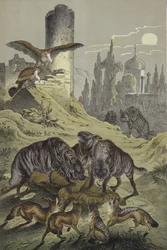 Animals of North Africa