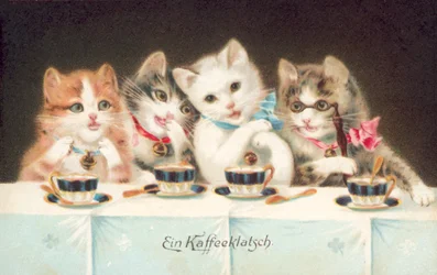 Cat Postcard