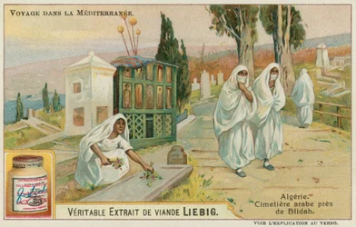 Cemetery Near Blida in Algeria